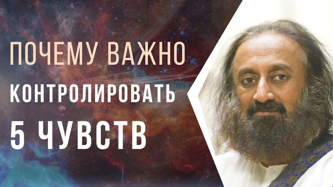 Почему важно контролировать 5 чувств