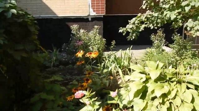 DSCN9922 22 08 2016 Г ВАЛИН САД ... смотреть онлайн