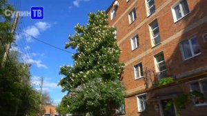 Проблемы поселка Горняцкий 18 05 2022