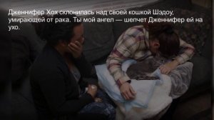 Эвтаназии для животных, Прощание с животными привели к депрессии и слезам.