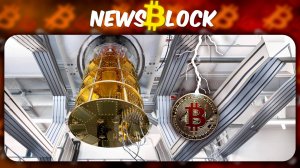 Что Объединяет Cardano и Google Willow