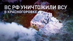 Бойцы отряда «Шторм» уничтожили дома с ВСУ в Красногоровке