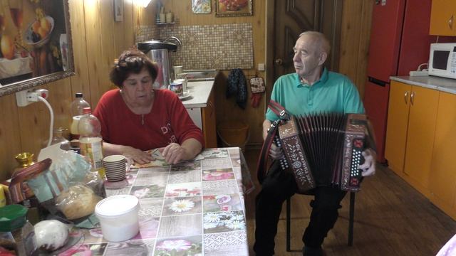 Досада.  Воронежская область, Семилукский район, село Вознесенка.