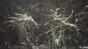 "Зима" сл. муз. Е. Лобастовой Авторское Видео клип