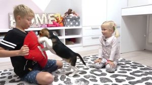 София Нашла Собаку. Софунья Шалунья