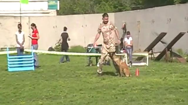 Ткач А. и малинуа 2 место - Обидиенс 1 (Чемпионат Украины 2013) смотреть онлайн