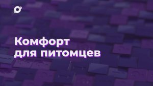 Два вопроса / Комфорт для питомцев / 10.12.24