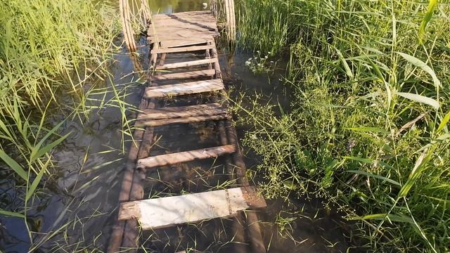 Непрекращающаяся тяга к путешествиям не оставляет меня в покое.