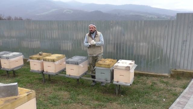 Планы на будущее 25.11.2020 смотреть онлайн