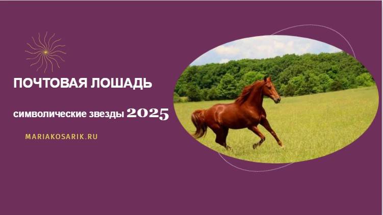 ПОЧТОВАЯ ЛОШАДЬ 2025 乙巳 / ЦИ МЕНЬ ДУН ЦЗЯ / СИМВОЛИЧЕСКИЕ ЗВЕЗДЫ