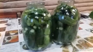 КАК ИЗ БОЧКИ. ОГУРЧИКИ КВАШЕНЫЕ ХРУСТЯЩИЕ! Самый простой рецепт.
