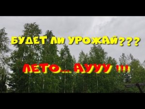 Будет ли урожай???