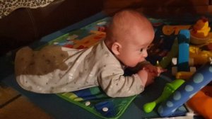 Пытается перевернуться, 10.12.2024