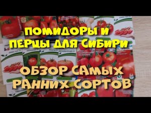 Томаты и перец для Сибири. Самые ранние сорта, характеристики.