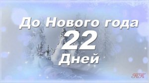 До Нового года 22 дней