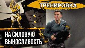 5 УПРАЖНЕНИЙ Тренировка С Блином От Штанги