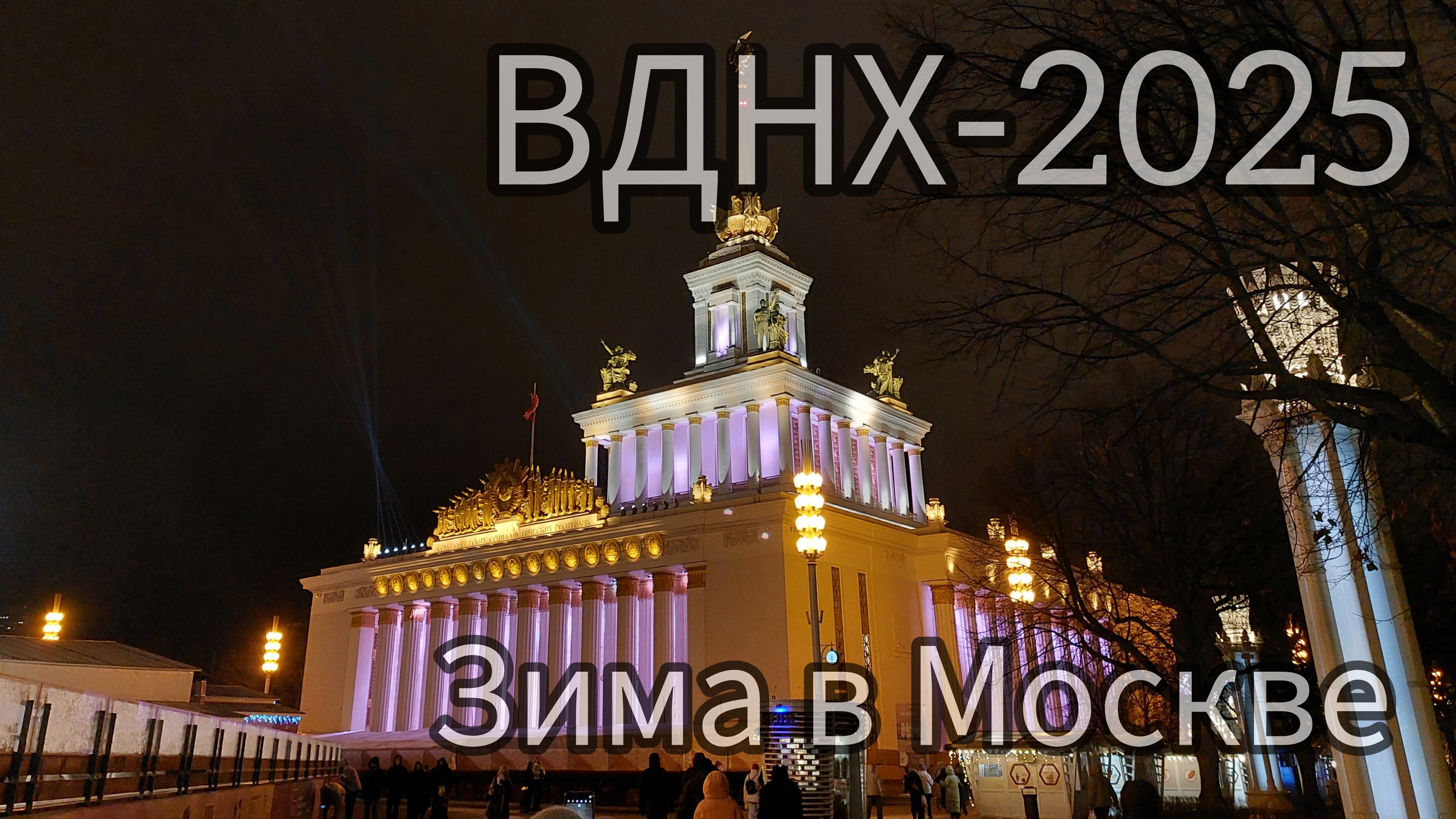 Семена На Вднх 2025 Где Купить