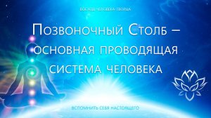 Позвоночный Столб – основная проводящая система человека. Здоровье