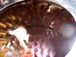 Перосъемные машины NT500, NT550, NT600 для ощипа кур, цыплят бройлеров и перепелов