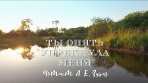 Н. А. Некрасов "Ты опять упрекнула меня" (из поэмы "Мороз, Красный нос")