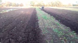 VID-20241028-WA0031.mp4
