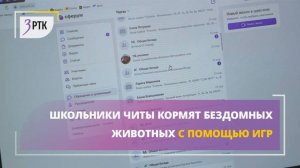 Школьники Читы кормят бездомных животных с помощью игр