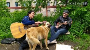 Шуточная Песня про Дачников (авторская песня на гитаре)