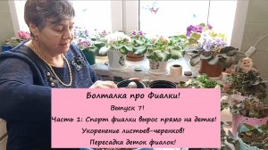 Болталка про Фиалки! Выпуск 7! Часть 1: Спорт фиалки вырос на детке! Укоренение листьев-черенков!