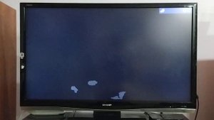 Обзор на DVD-диск Лунтик. Сезон 2. Выпуск 5: "Круговорот".