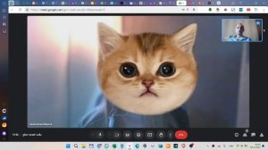 Красноярск Демо скрининга