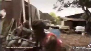 обезьяна стреляет с автомата