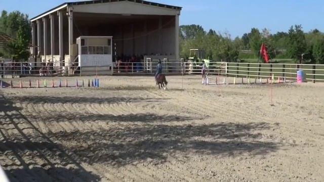 FC QUARTER HORSES - POLE BENDING 2° TAPPA W.S.G.A. смотреть онлайн