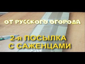 ОСЕННИЕ САЖЕНЦЫ ОТ "РУССКОГО ОГОРОДА". 2-Я ПОСЫЛКА.