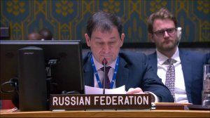 Statement by Deputy Permanent Representative Dmitry Polyanskiy at a UNSC Briefing on the DRC