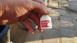 Опрыскивание сада Кинмиксом.
