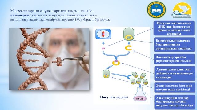 10 сынып. Биология. Микроағзалардың артықшылықтары мен кемшіліктері