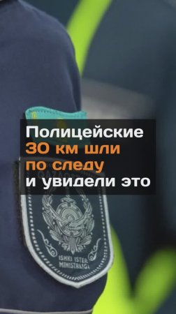 Полицейские 30 км шли по следу и увидели это