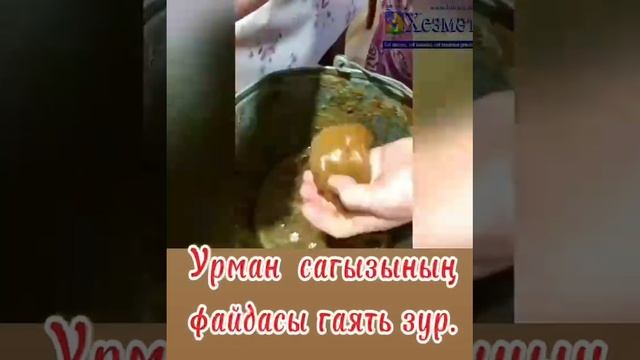 Балтачта элек-электән  урман сагызы ясыйлар