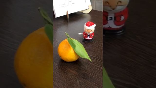 1000011311.mp4