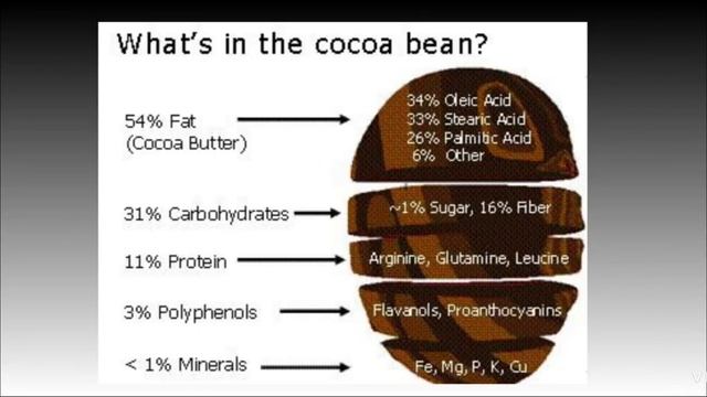 Cocoa processing. Food science and technology. icar net смотреть онлайн