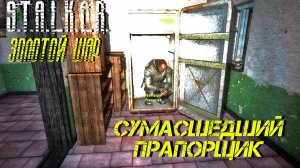 СУМАСШЕДШИЙ ПРАПОРЩИК ➤ S.T.A.L.K.E.R Золотой Шар #33