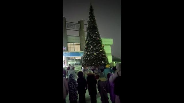 зажжение главной елки поселка смотреть онлайн