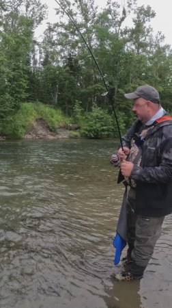 Северный Сахалин Fishing on Sakhalin 
р.Чамгу