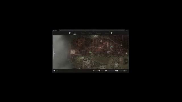 Stalker 2 артефакт грозовая ягода