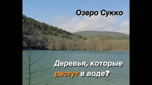 Приехали посмотреть на озеро Сукко. Стоит ли приезжать и смотреть?