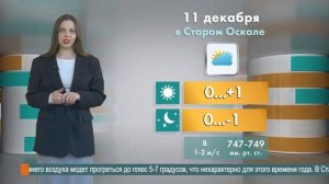 Погода в Старом Осколе на 11 декабря