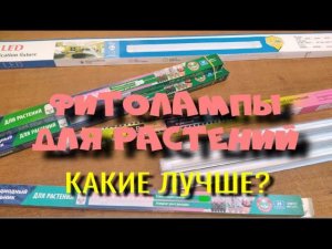 ЛАМПЫ ДЛЯ РАСТЕНИЙ. КАКИЕ ВЫБРАТЬ?