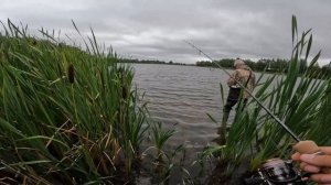 Живая Приманка. Ловля на Опарыша. Рыбалка на Спиннинг. Ультралайт.