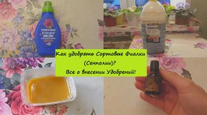 Как удобрять Сортовые Фиалки (Сенполии)? Все о внесении Удобрений!