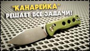 ЛУЧШИЙ Складной EDC Нож На Каждый День / QSP Canary Glyde Lock